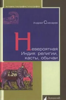 Андрей Снесарев - Невероятная Индия: религии, касты, обычаи