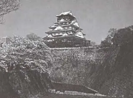 Замок в Осаке Современный вид Мемориал на месте битвы при Сэкигахара - фото 17