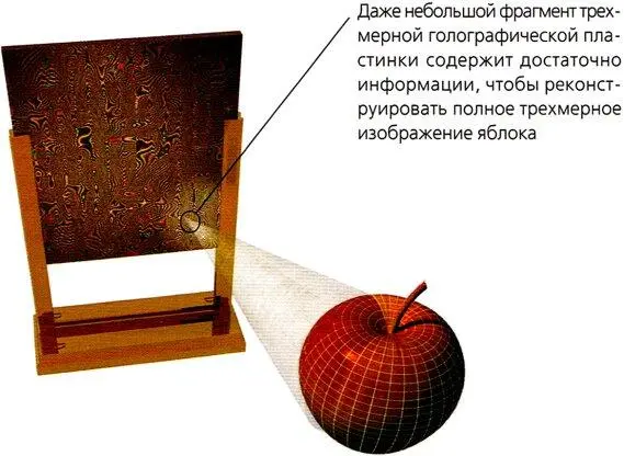 Рис 222 По сути голография это проявление интерференции волн Голограмма - фото 65