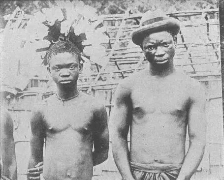 Рис 2 Африканские Пигмеи Во время проверки у них было нормальное зрение - фото 3