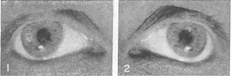 Рис 32 Отражение Электрической Нити Накала от Радужки Рисунок - фото 36