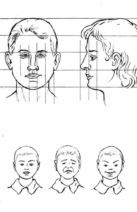 Рис 42 Построение головы У женщин и детей ширина головы почти та же что и - фото 42