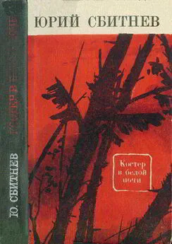 Юрий Сбитнев - Костер в белой ночи