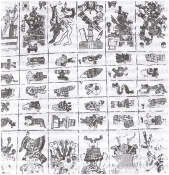Письменные знаки майя Язык несомненно являлся одним из самых главных - фото 6