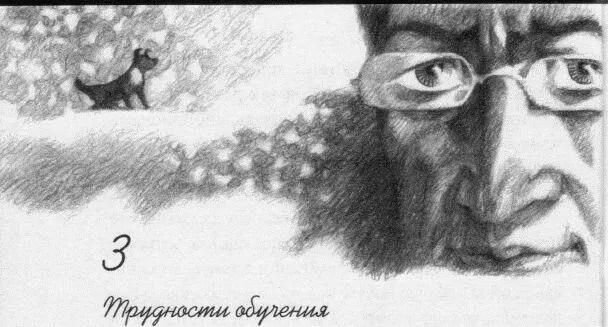 Все указывало на то что для завоевания места в сердце Лоренса Бу было - фото 5