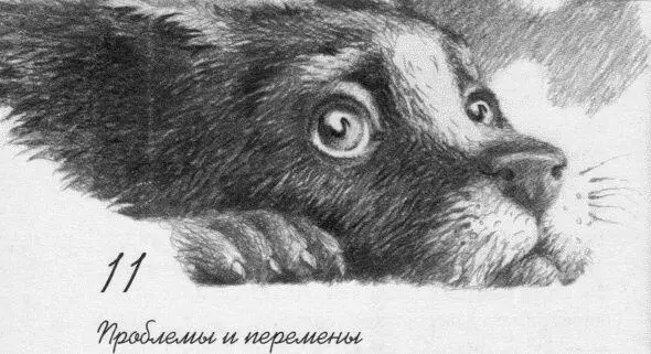 По мере того как росла уверенность Бу в себе он начинал преуспевать в самых - фото 13