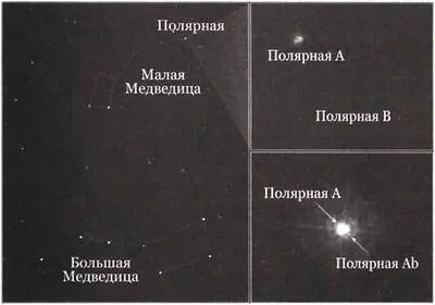 Рис 196 Знакомая нам Полярная звезда в Ковше Малой Медведицы на самом деле - фото 123