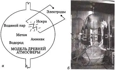 Рис 303 а Миллер и Юри в 1953 году получили аминокислоты возбуждая - фото 236