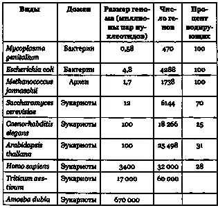 У самой маленькой самостоятельно размножающейся бактерии Mycoplasma - фото 225