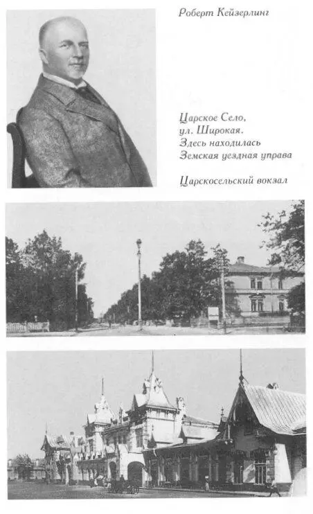 Через несколько месяцев объезжая - фото 5