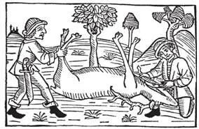 Рис 7 Разделка туши Гравюра из Книги королевских манер 1486 В книге - фото 7