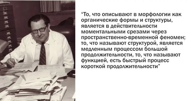 Людвиг фон Берталанфи 19011972 создатель общей теории систем и одна из - фото 26