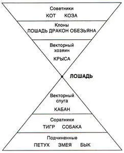 ЛошадьЛошадь Единомышленники Клоны 22 Подробно о всех типах служебных - фото 30