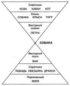 СобакаСобака Полные единомышленники 34 Подробно о всех типах служебных - фото 38