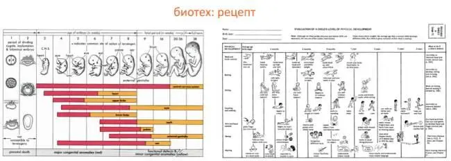 Это не идеальная аналогия Но в целом ИИ куда больше похож на чертеж В - фото 99