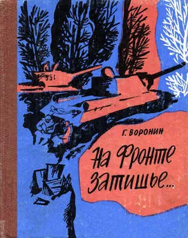 Геннадий Воронин - На фронте затишье…