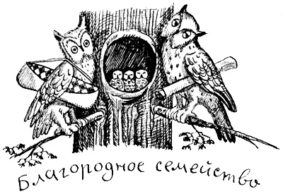 Однажды ученые столкнулись со знакомой им стаей хищников в которой на этот раз - фото 66