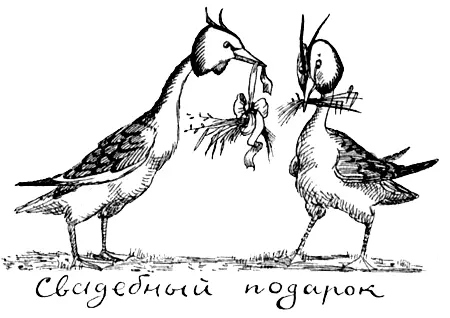 Мало того самцы некоторых видов еще и раскрашивают стенки беседок соком синих - фото 70