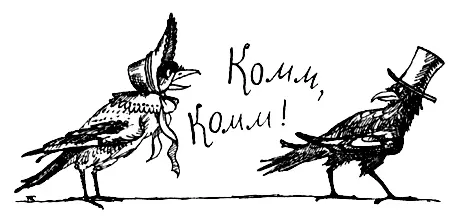 Несколько слов выученных птенцами сорок ворон воронов и других птиц этого - фото 115