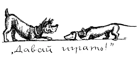 У многих млекопитающих игру молодняка часто начинает взрослое животное Так - фото 133