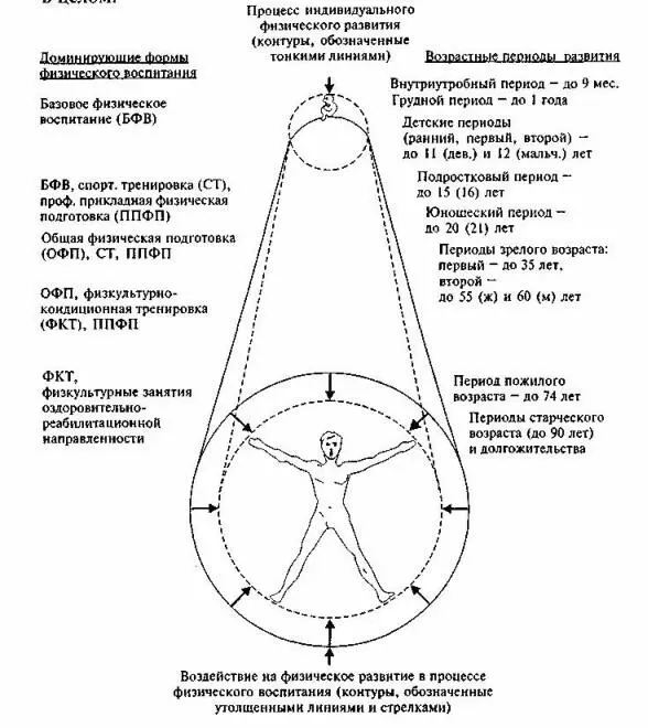 Рис 1 Схема соотношения возрастных периодов индивидуального физического - фото 2