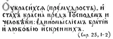 Есть логика любви и есть логика злобы Для любви естественно искать и находить - фото 10