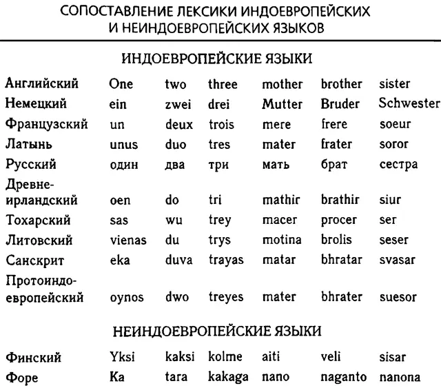 Протоиндоевропейским называется реконструированный учеными праязык первых - фото 8