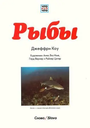 Среди ученых господствует мнение что жизнь зародилась в море Именно в морской - фото 1