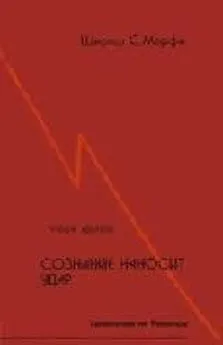 Шариш С. Мерфи - Сознание наносит удар. Евангелие от Рамеша