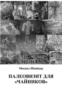 Михаил Шнайдер - Палеовизит для «чайников»