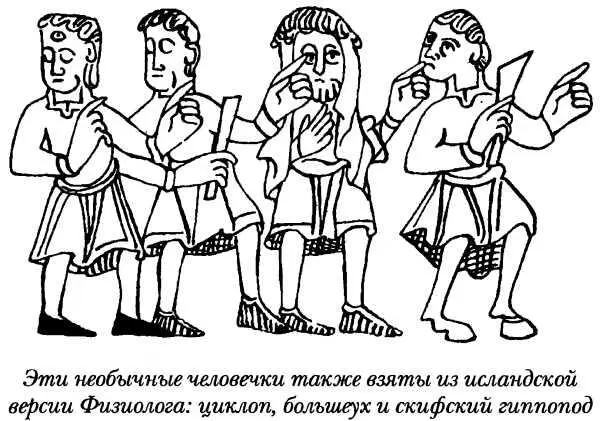О законах и кодексах здесь было сказано уже достаточно много так что едва ли - фото 56