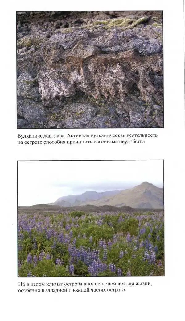Средневековая Исландия - фото 79