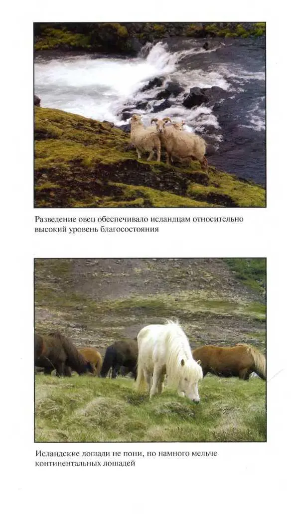 Средневековая Исландия - фото 83