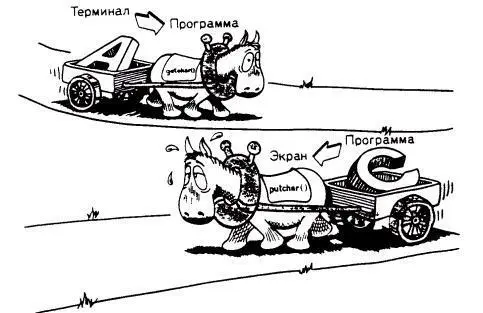ВВОД И ВЫВОД ОДНОГО СИМВОЛА ФУНКЦИИ getchar И putchar Функция - фото 35