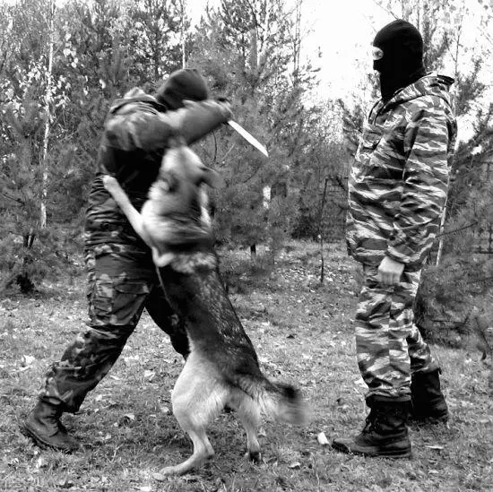 Жесткой хваткой контратаковать противника Помощник в скрытой защите подходит к - фото 40
