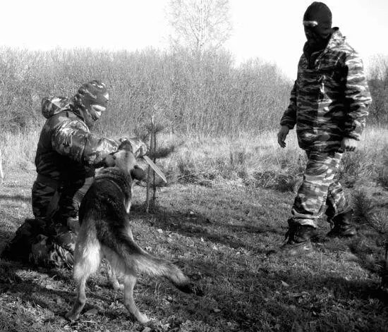 Не давать противнику шансов подняться и возобновить атаку на хозяина Бороться - фото 42