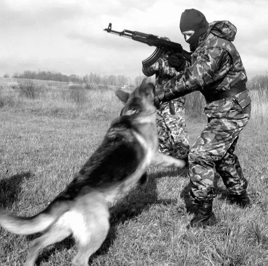 Если она не бросает хватку на лежащем фигуранте стоящий помощник снова атакует - фото 100