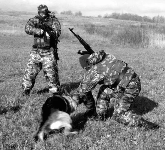 Мы должны добиться того чтобы животное самостоятельно реагировало на начало - фото 103