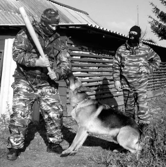В качестве укрытия хорошо использовать небольшое строение которое легко - фото 112