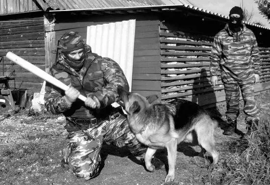В качестве укрытия хорошо использовать небольшое строение которое легко - фото 113