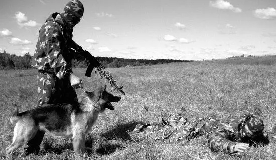 Попытка задержанного пошевелить рукой может закончиться печально Еще мгновение - фото 121