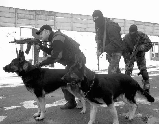 Работа в боевом порядке с двумя штурмовыми собаками Командир подразделения К - фото 144