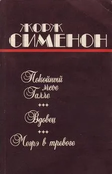 Жорж Сименон - Вдовец