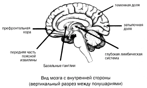 Прежде чем описывать пять упомянутых типов хочу дать вам экспресскурс для - фото 33