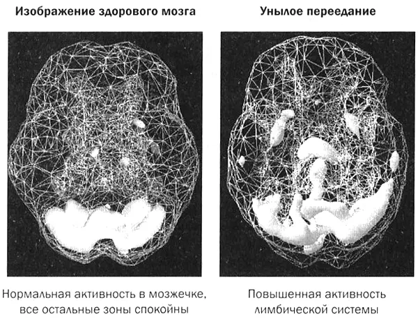 Осеннезимняя хандра случается у жителей северных широт Она связана с - фото 38
