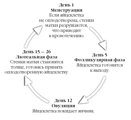Спецсредства Здесь можно выбирать между прокладками или тампонами Для - фото 1