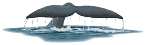 Глава шестая шестой и последний сон Большой Черепахи в котором появляется - фото 58