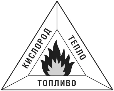 Топливо Без топлива огня не бывает В походе вашим топливом скорее всего - фото 38