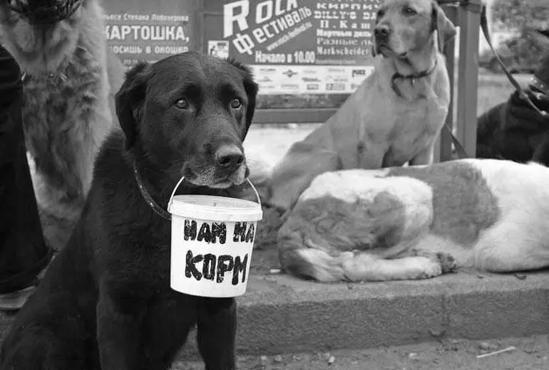 Не менее пикантный случай рассказывал за рюмкой чая мой московский коллега - фото 7