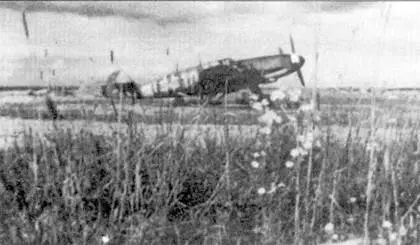 Летом 1942 г истребители люфтваффе сменили масть с белой зимней на серозеленую - фото 71